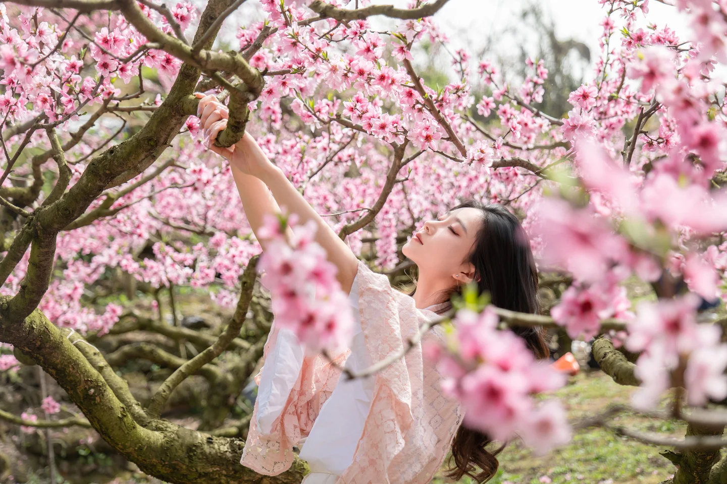 年年 - 漫花 [86P-595MB] tg@simisebaisi 【丝足阁】044.webp